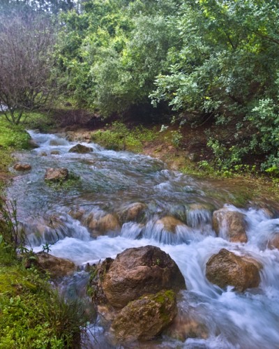 Parod River in the north of Israel